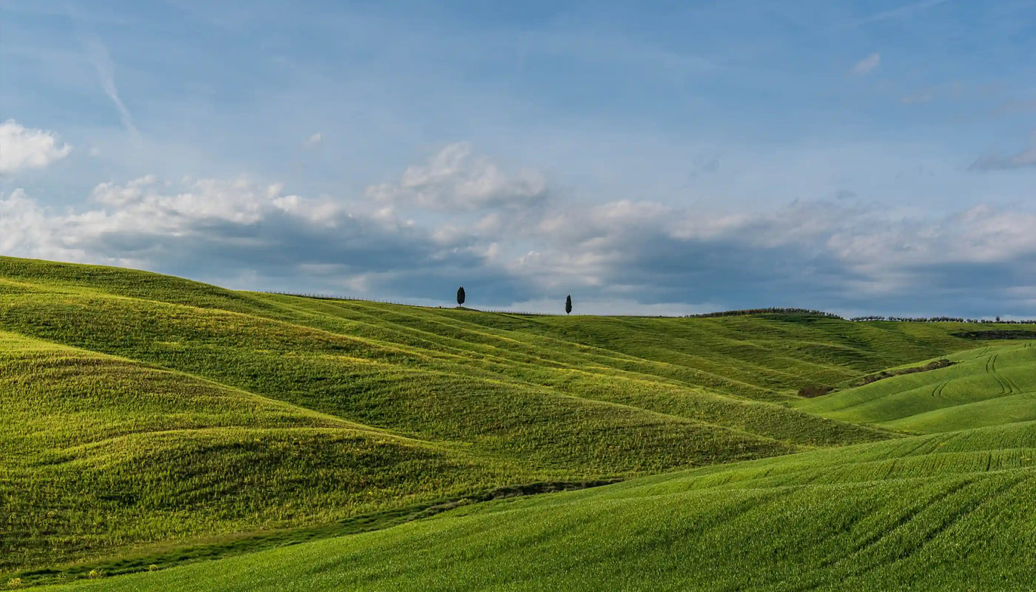 Five Eco-Friendly Outdoor Practices for Nature Lovers